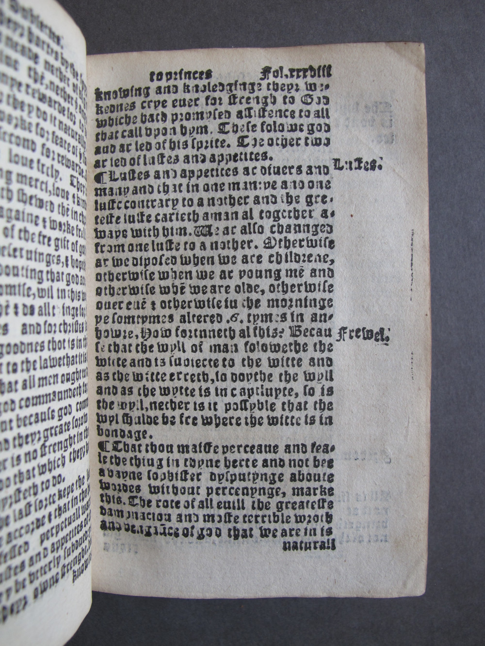 1 Folio E6 recto