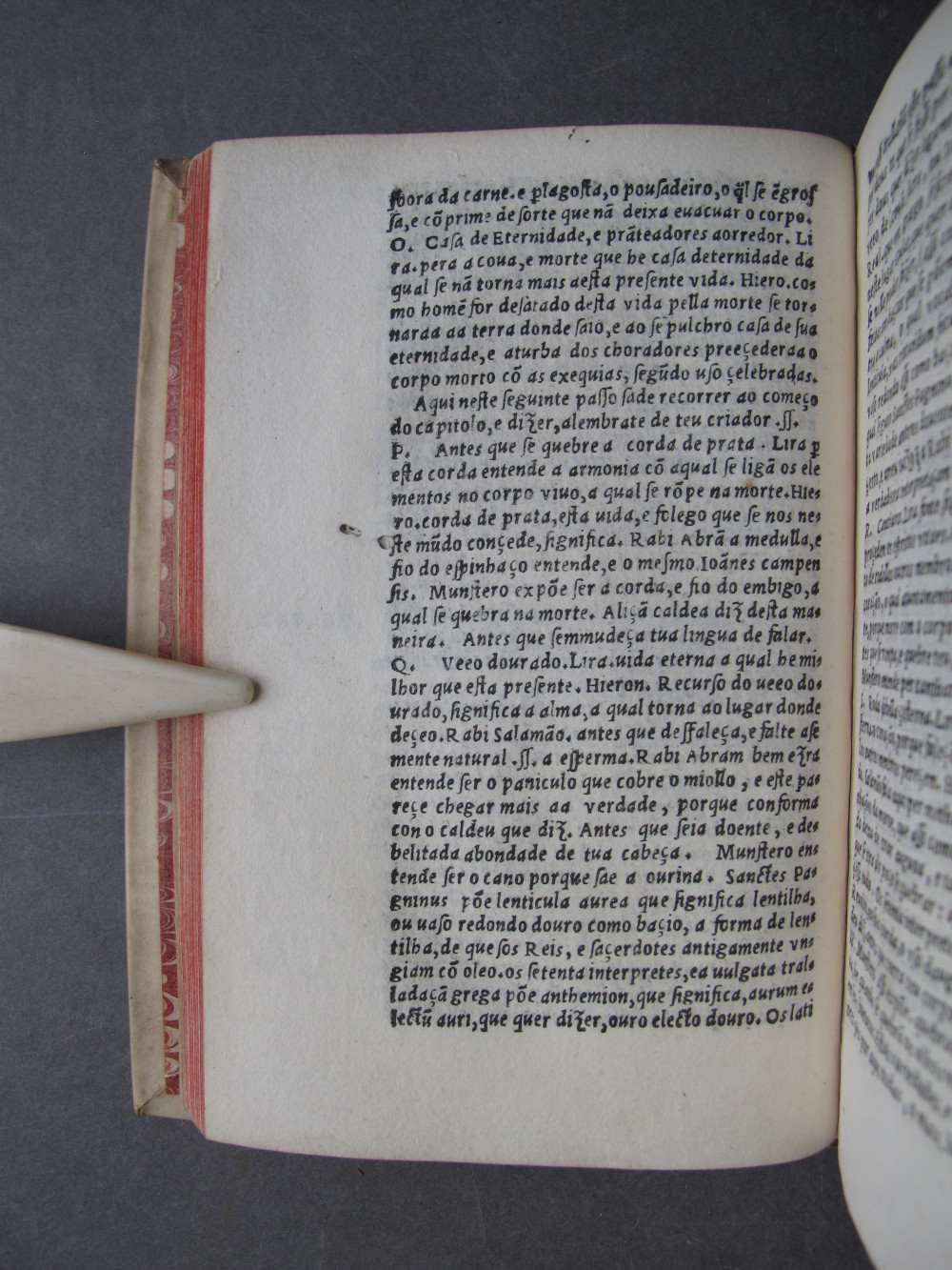 Folio d7 verso