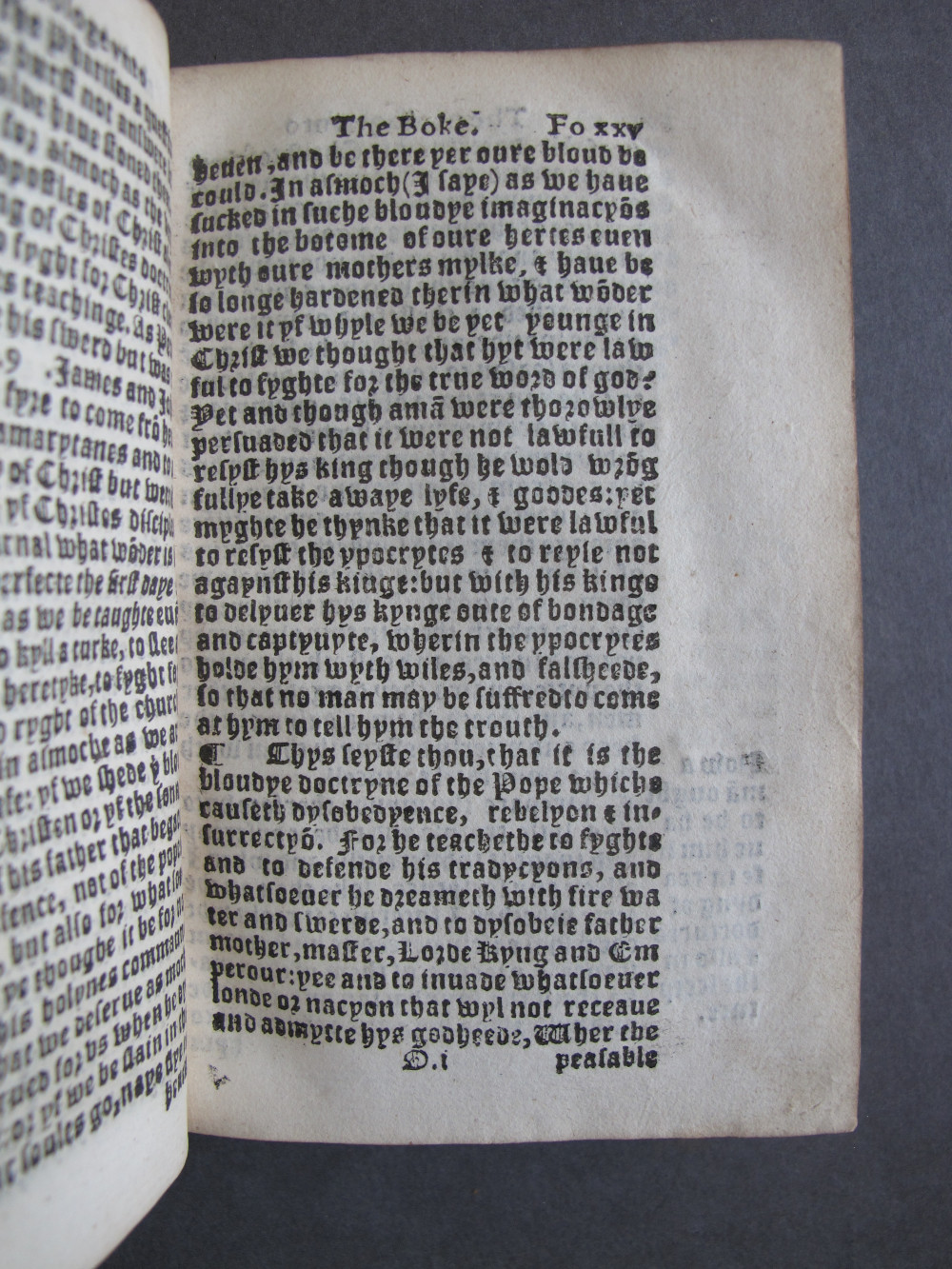 1 Folio D1 recto