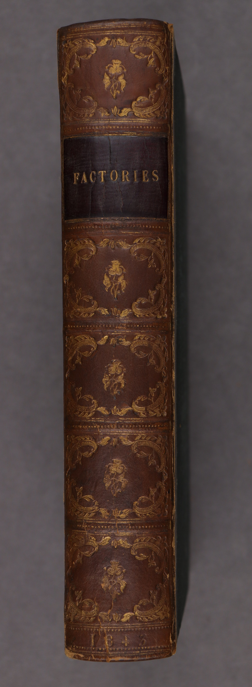 Spine