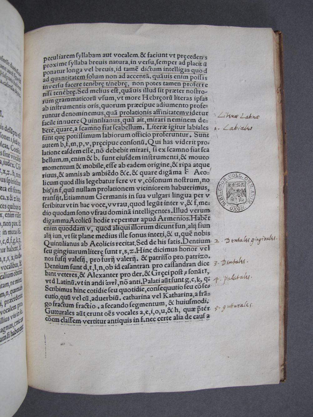 Folio I4 recto