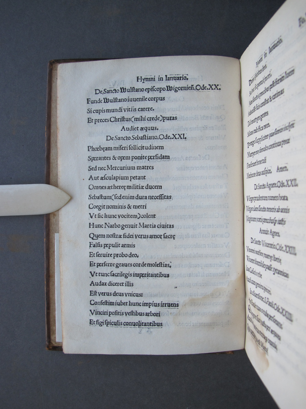 Folio 5 verso