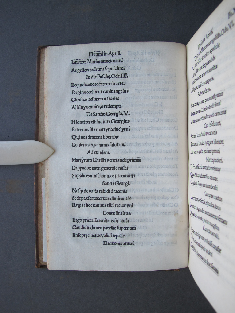 Folio 14 verso