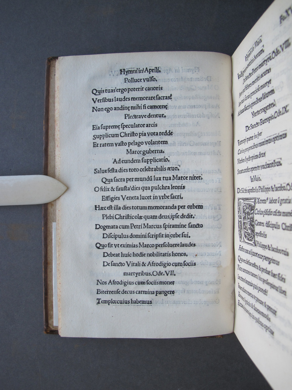 Folio 15 verso