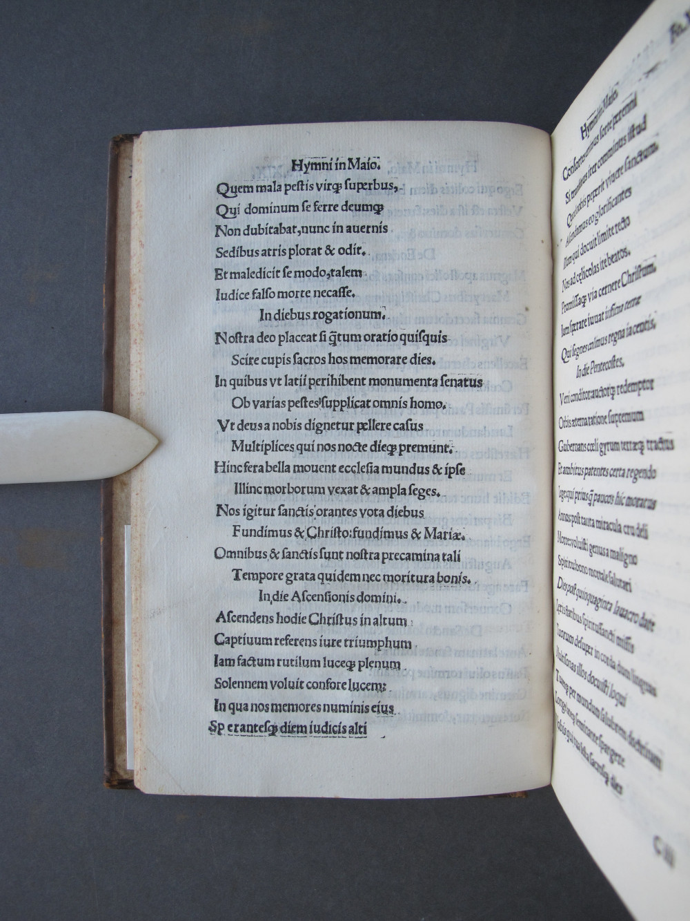 Folio 19 verso