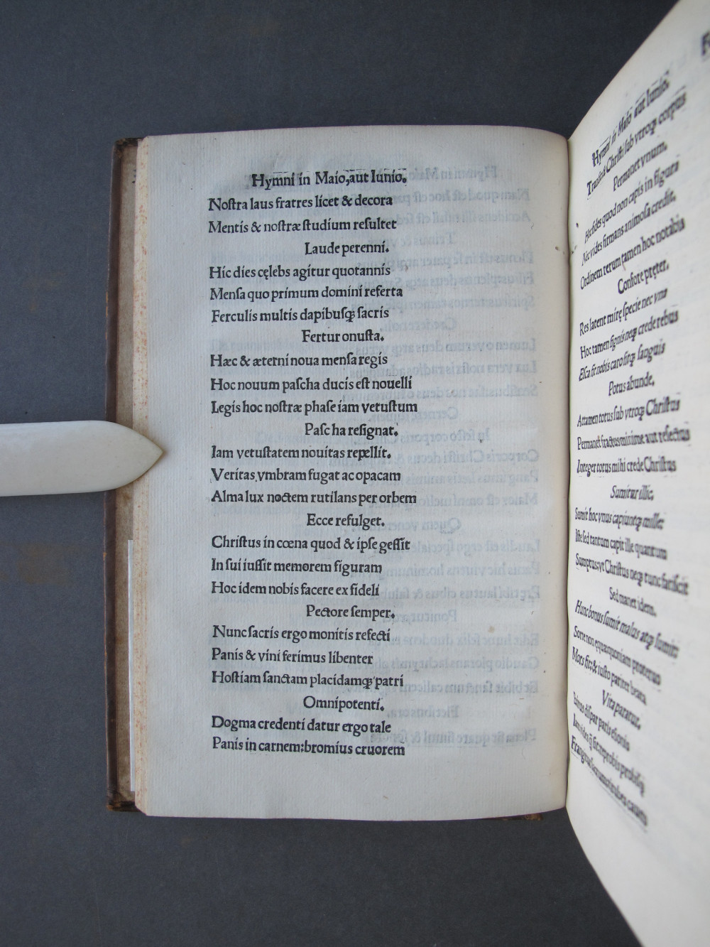 Folio 22 verso