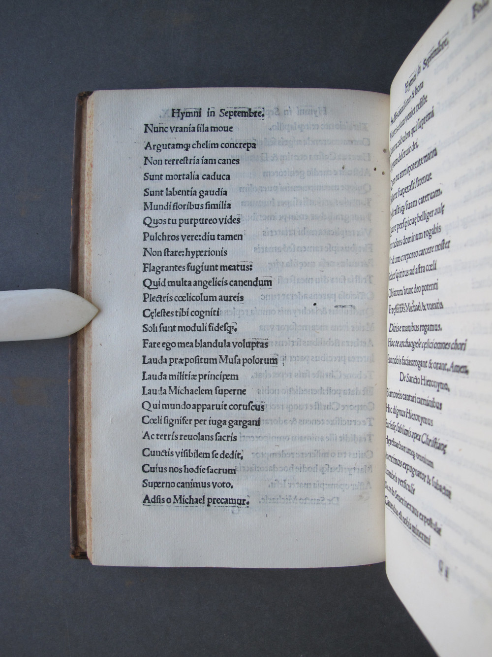 Folio 49 verso