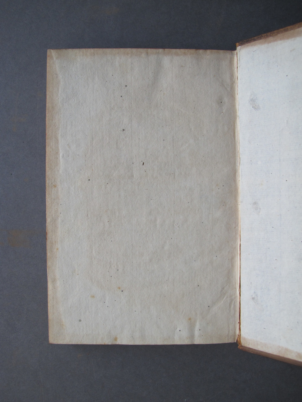 Folio 84 verso