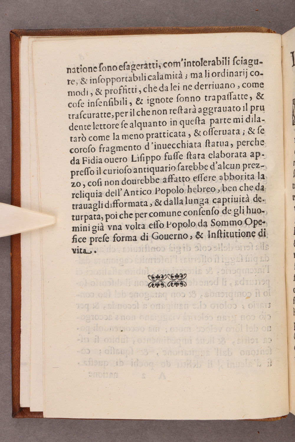Folio 6 verso