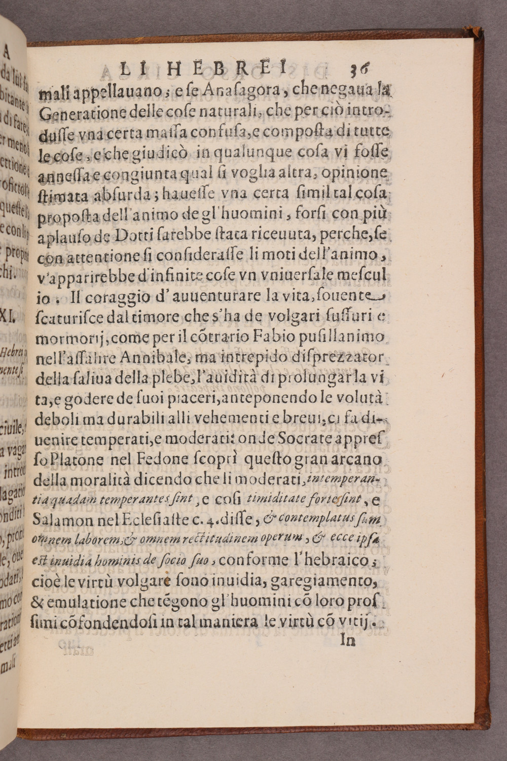 Folio 36 recto