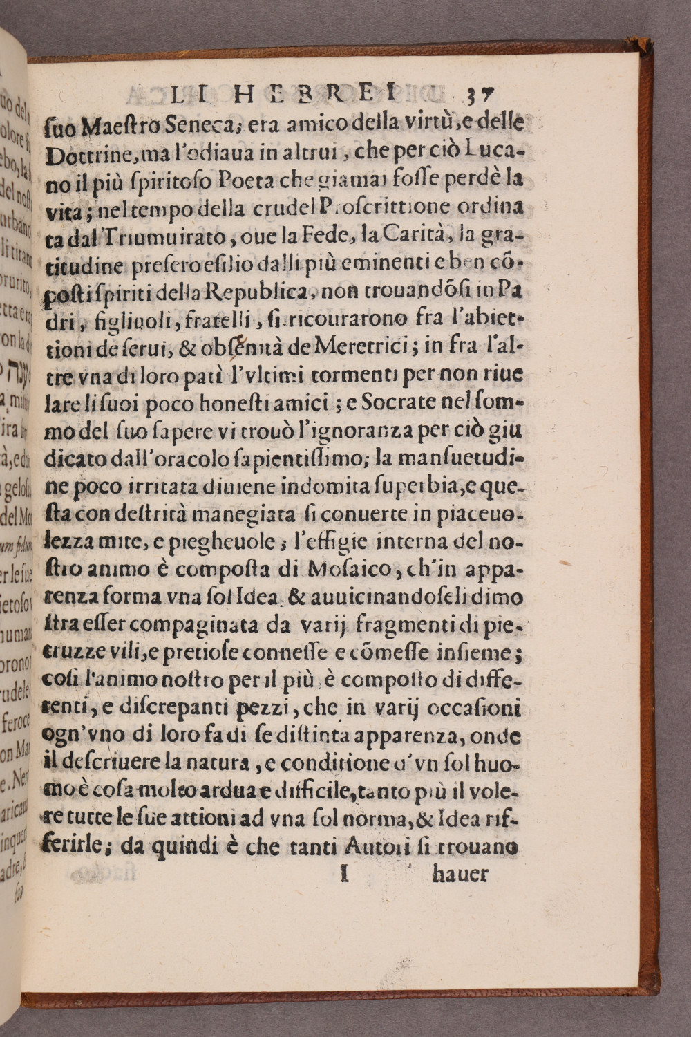 Folio 37 recto