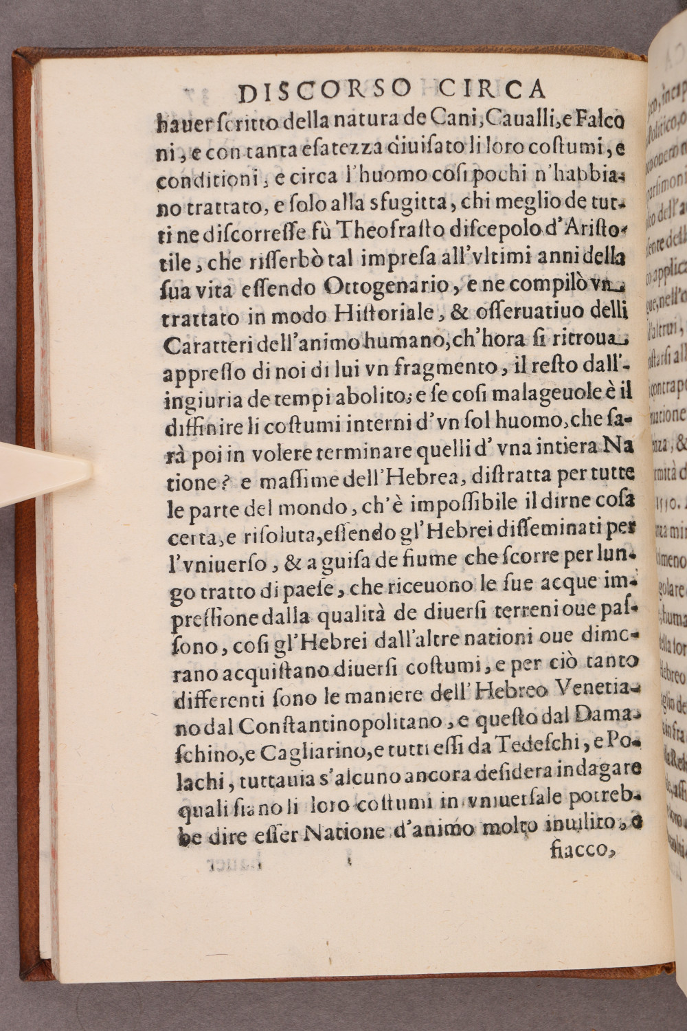 Folio 37 verso