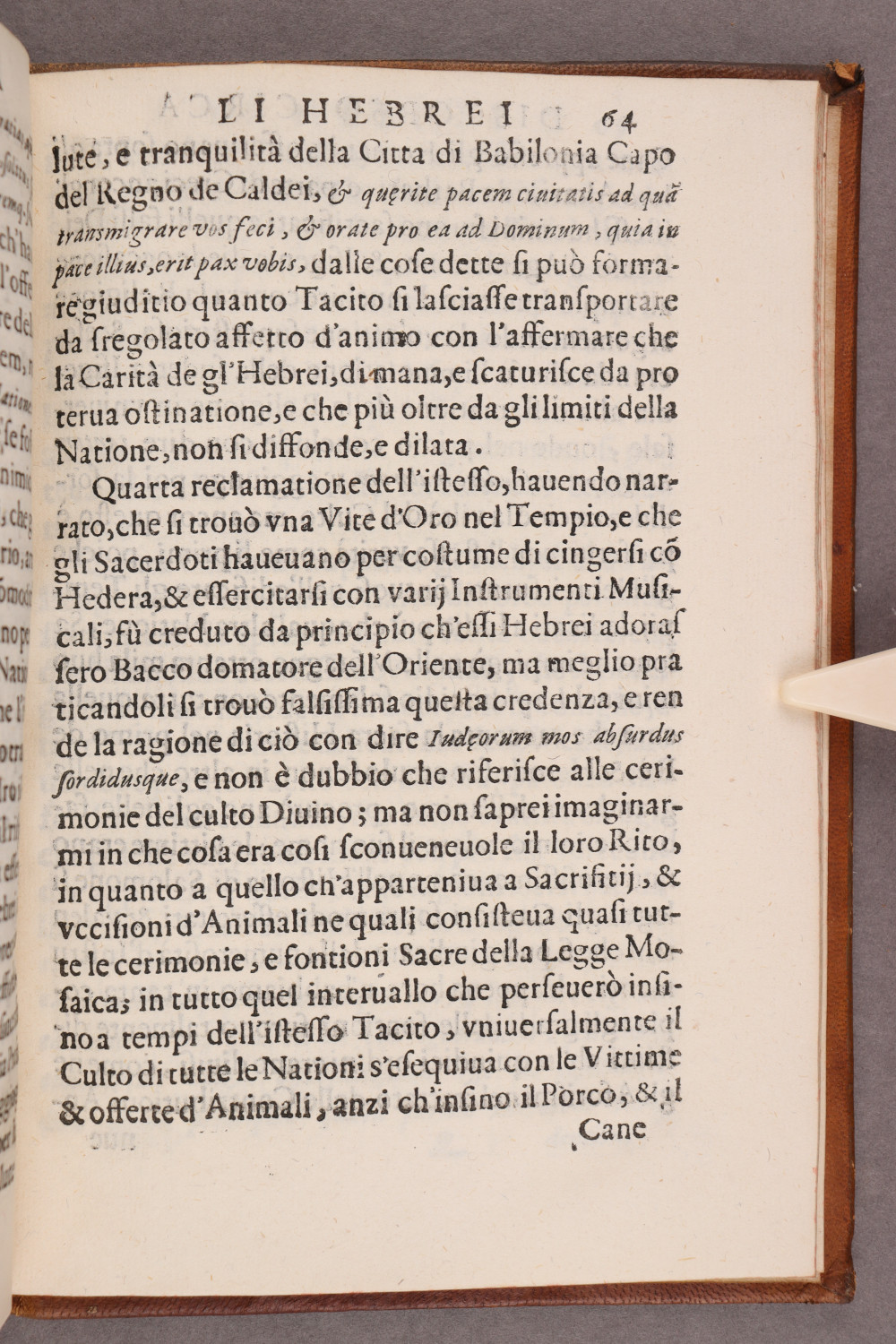 Folio 64 recto
