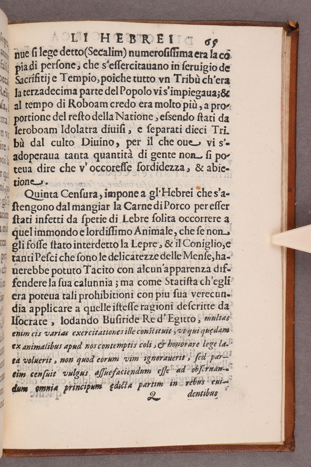 Folio 65 recto