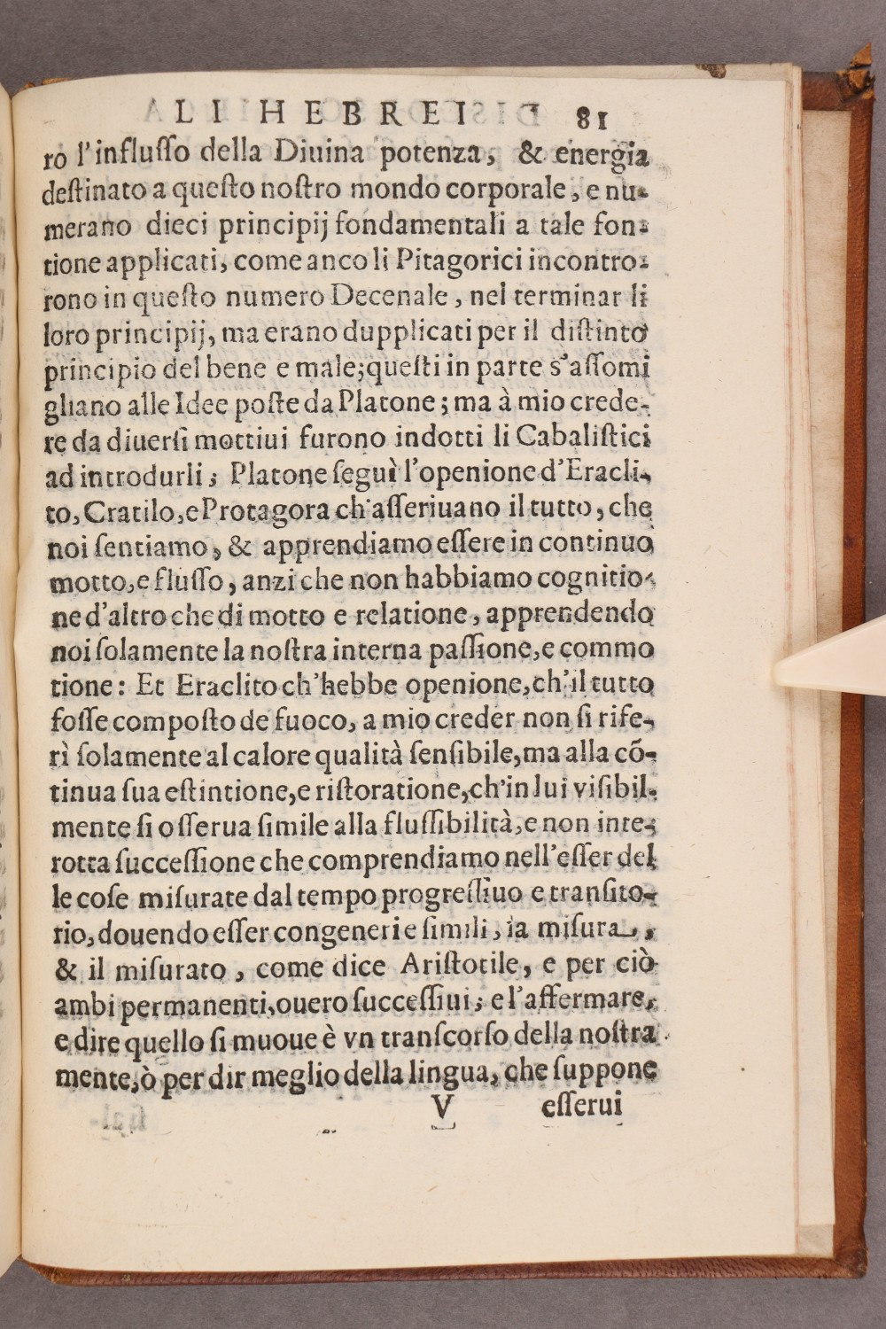 Folio 81 recto
