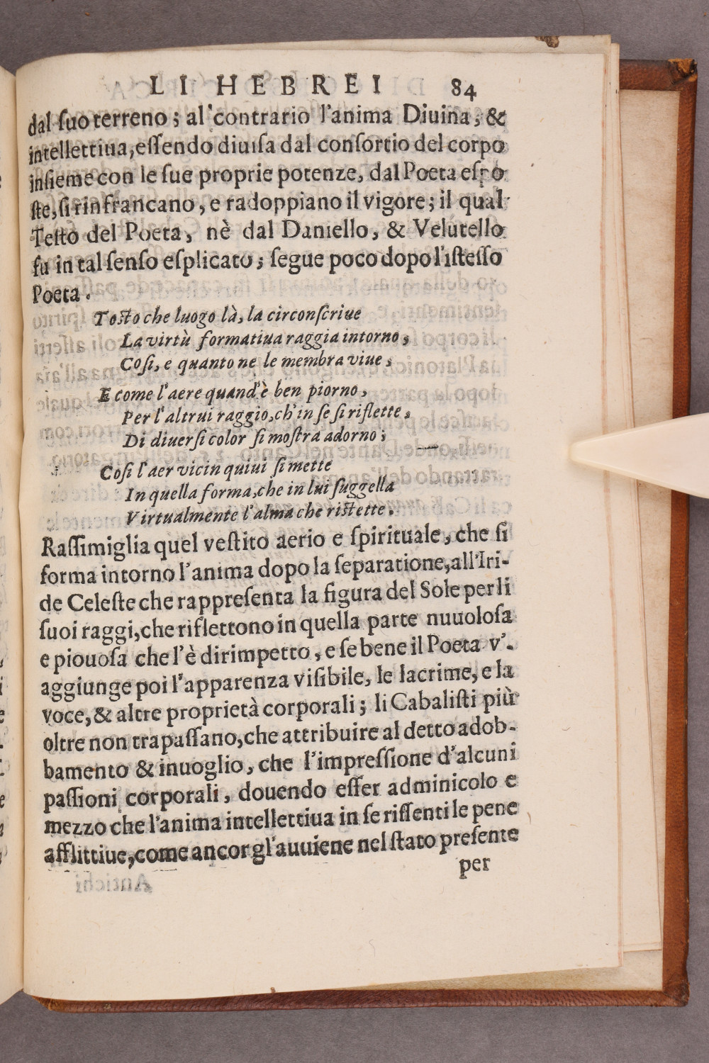 Folio 84 recto