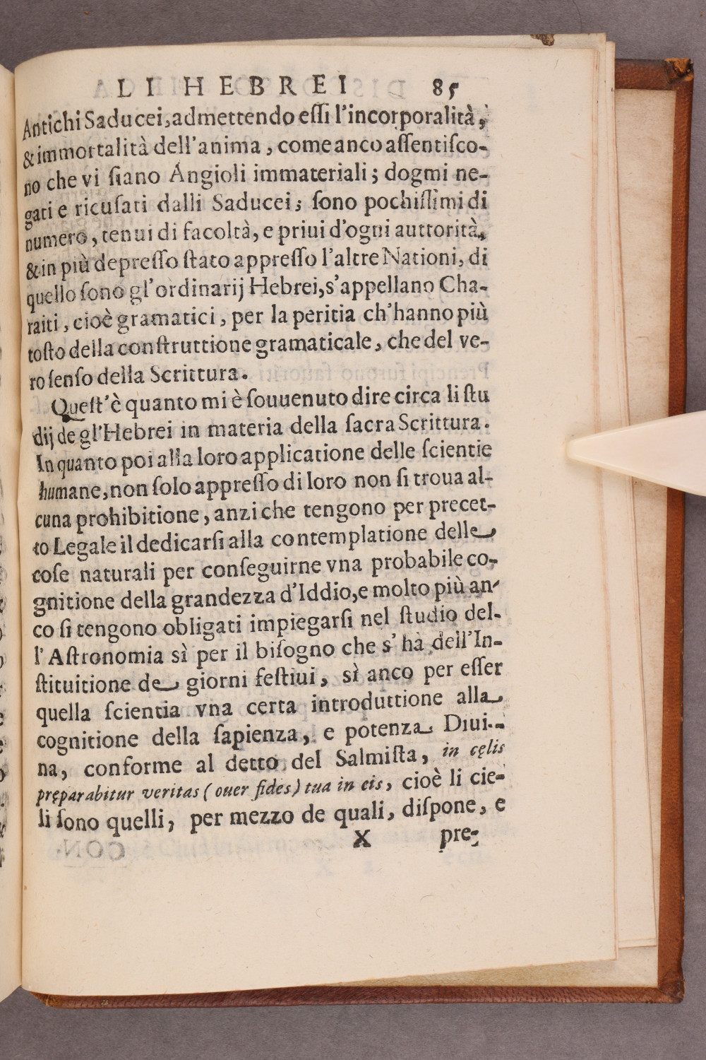 Folio 85 recto