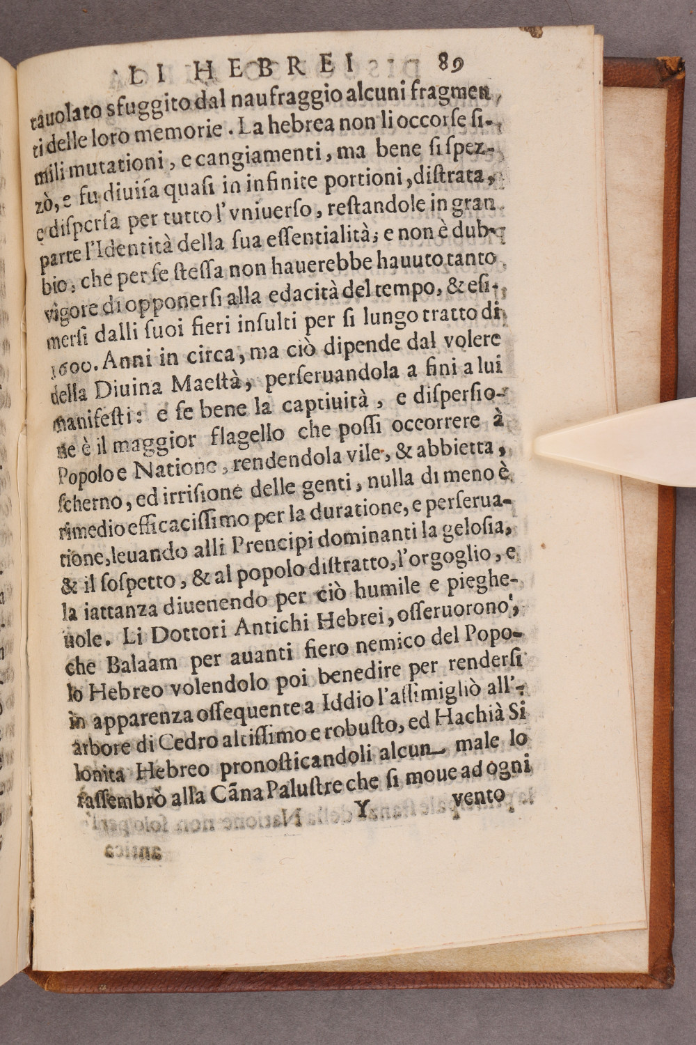 Folio 89 recto