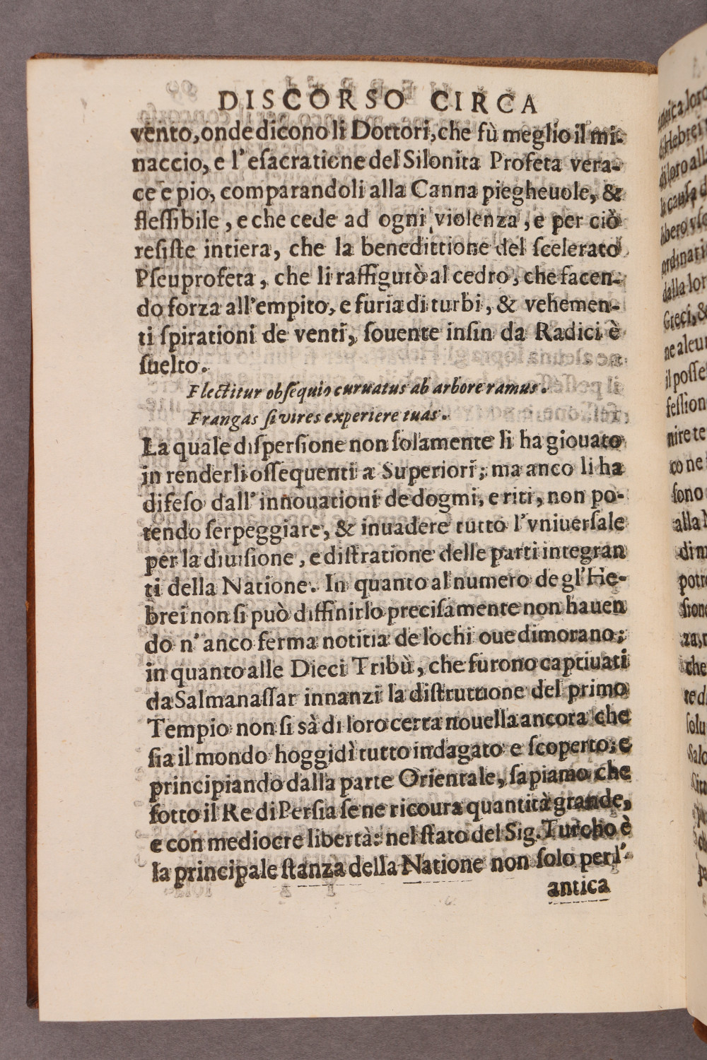 Folio 89 verso