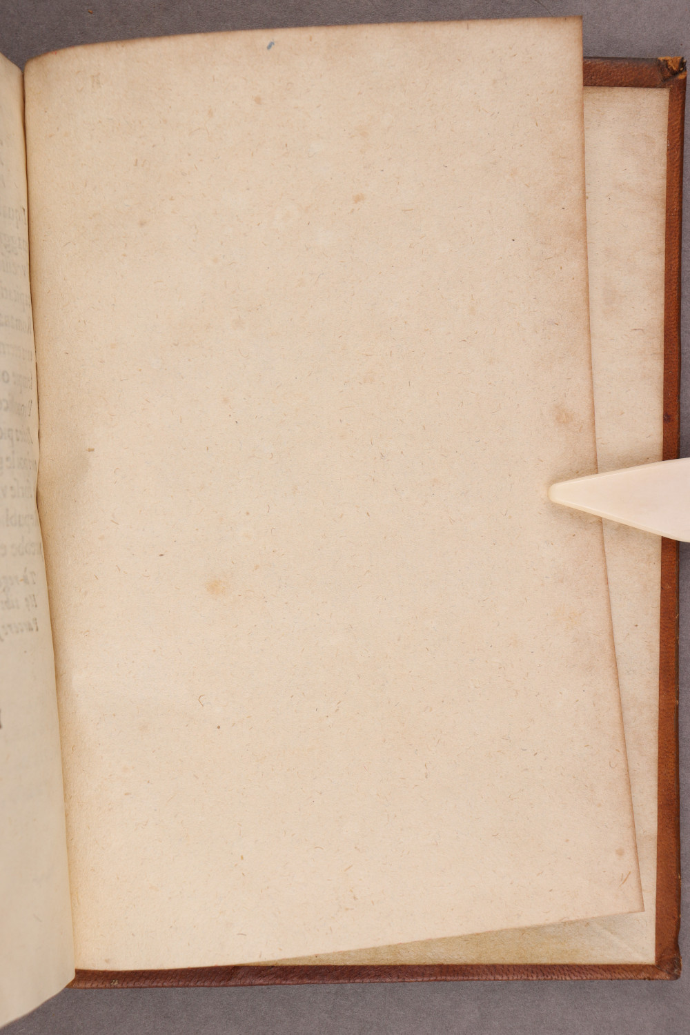 Folio 93 recto