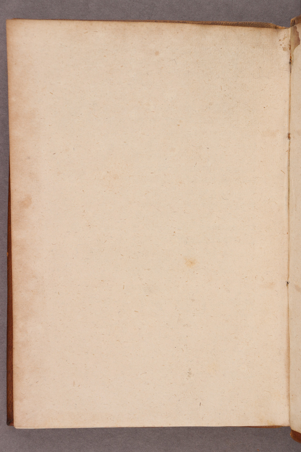 Folio 93 verso