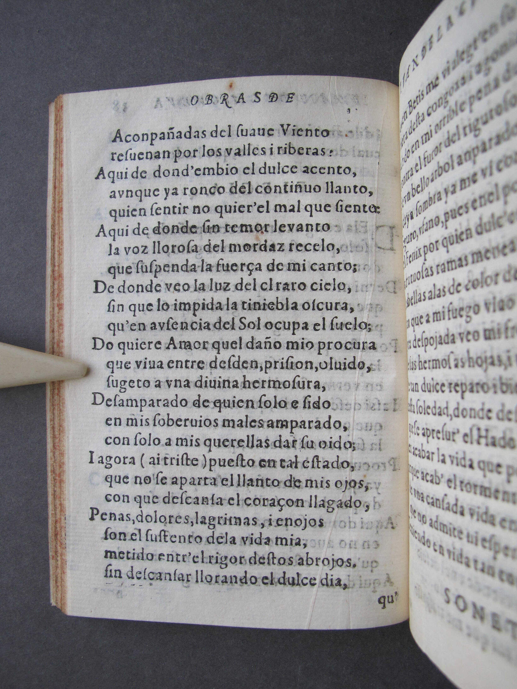 Folio E6 verso