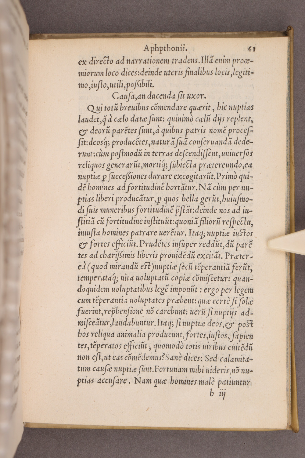 Page 61
