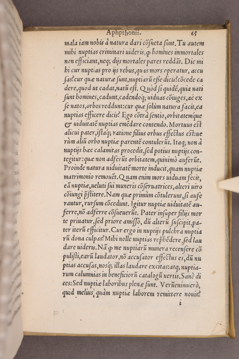 Page 65