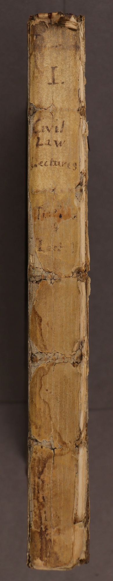 Spine