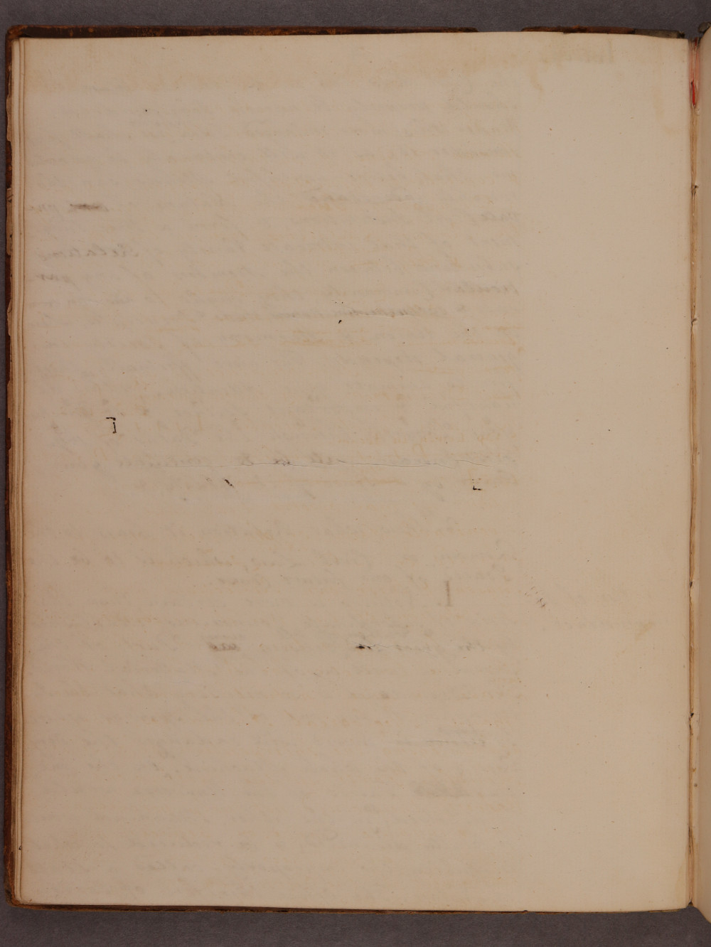 Folio 4 verso