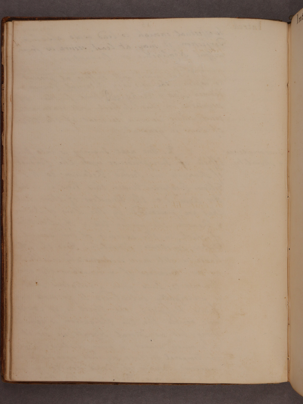 Folio 13 verso
