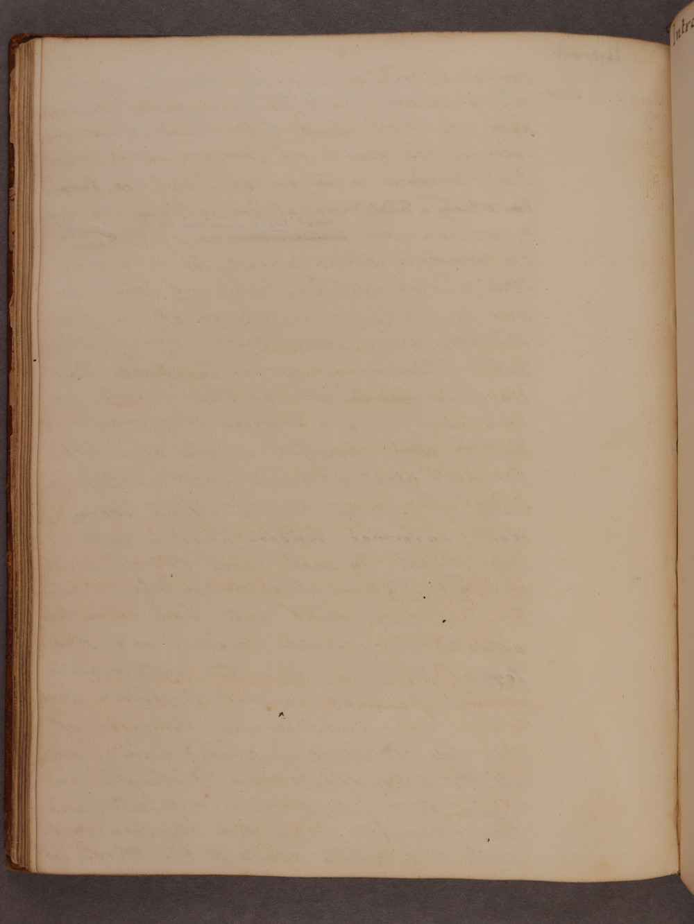 Folio 41 verso