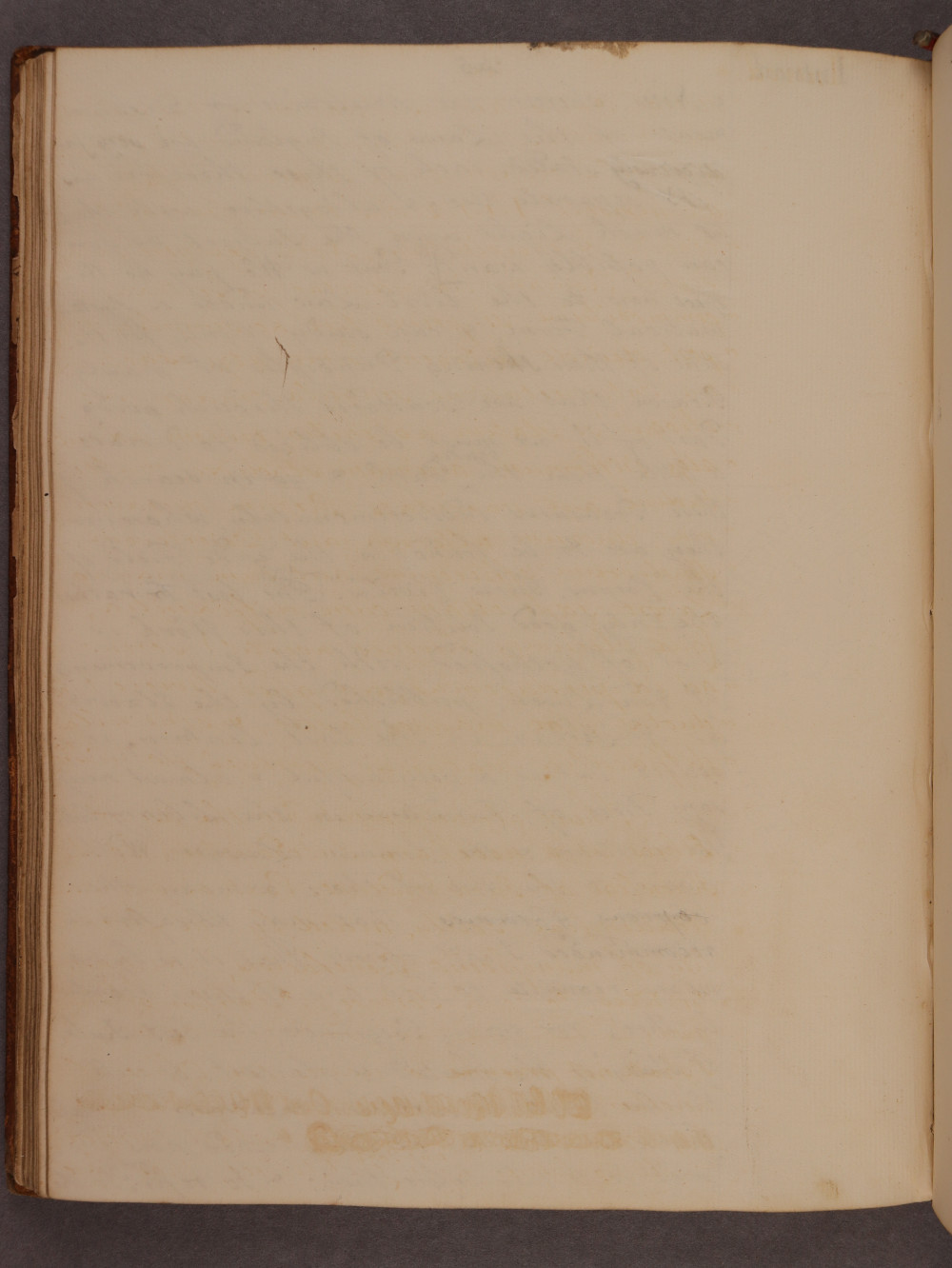 Folio 45 verso