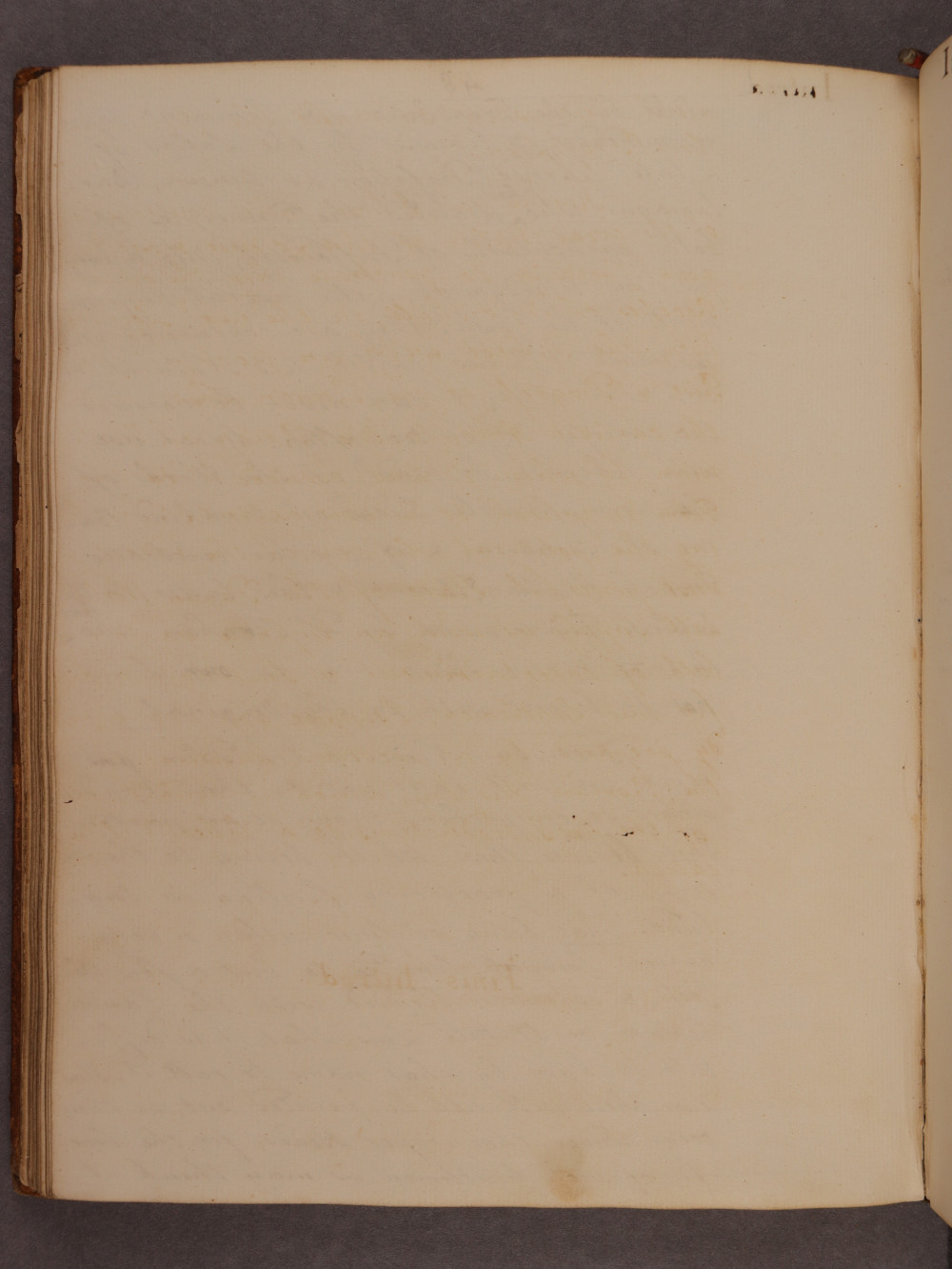 Folio 48 verso