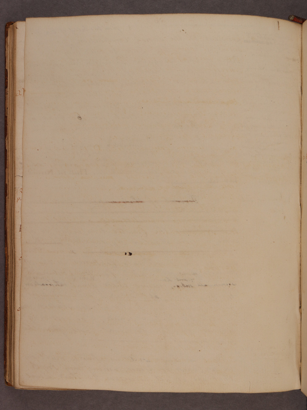 Folio 56 verso