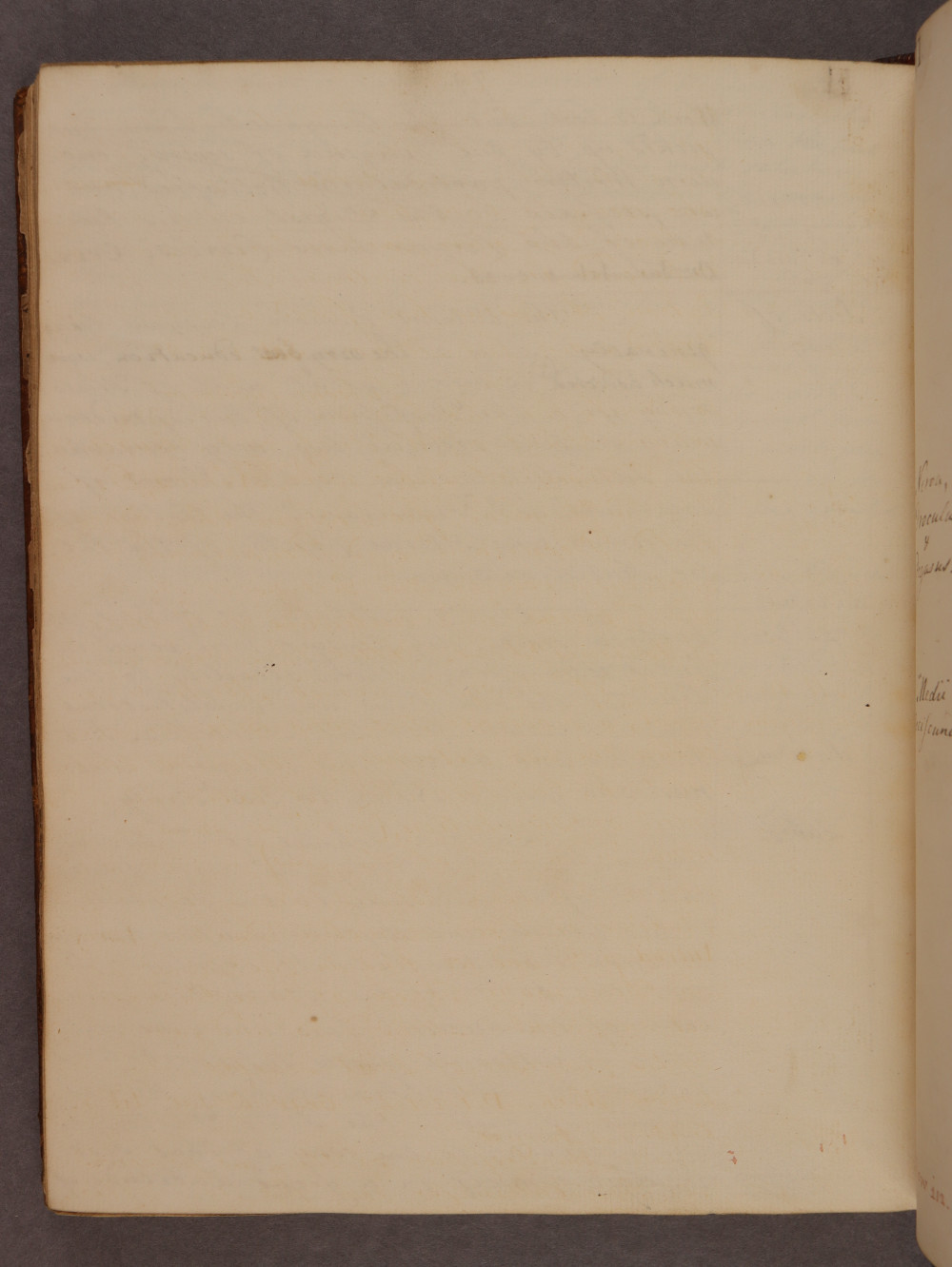 Folio 79 verso