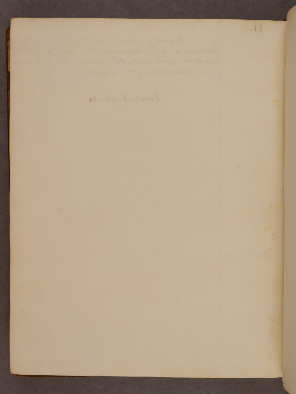 Folio 87 verso