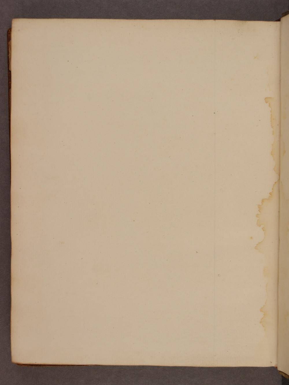 Folio 88 verso