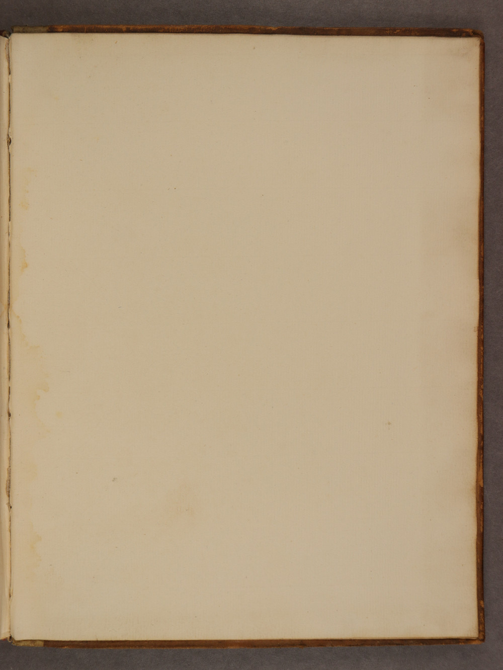 Folio 89 recto