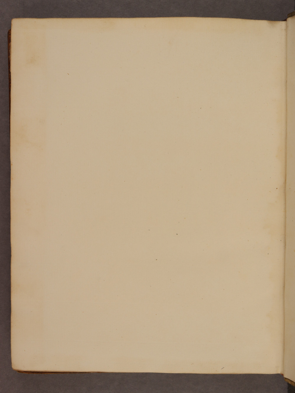 Folio 89 verso
