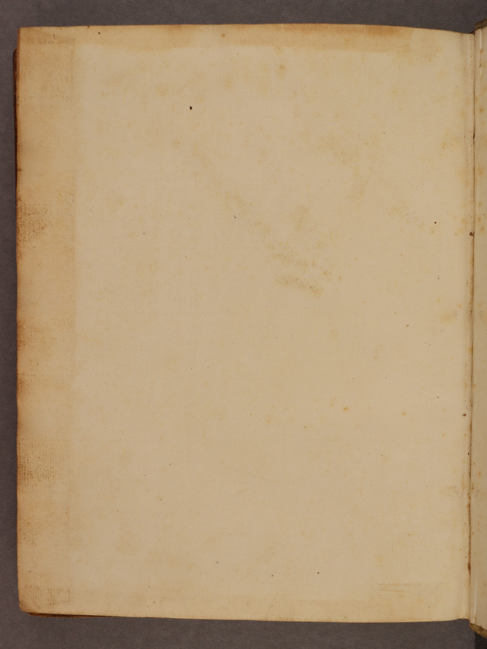 Folio 90 verso