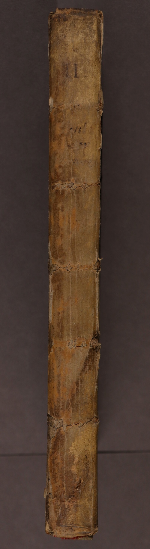 Spine