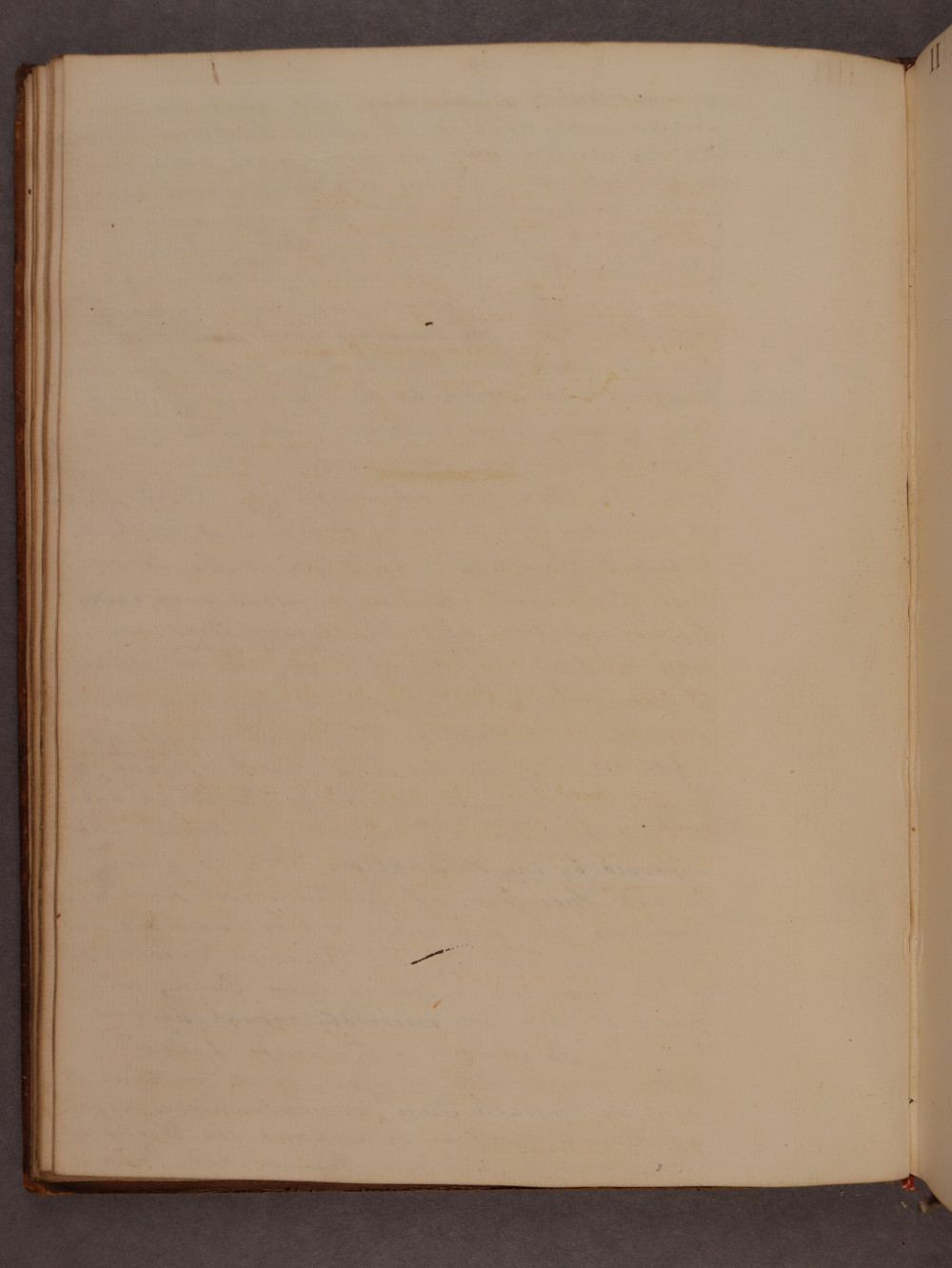 Folio 19 verso