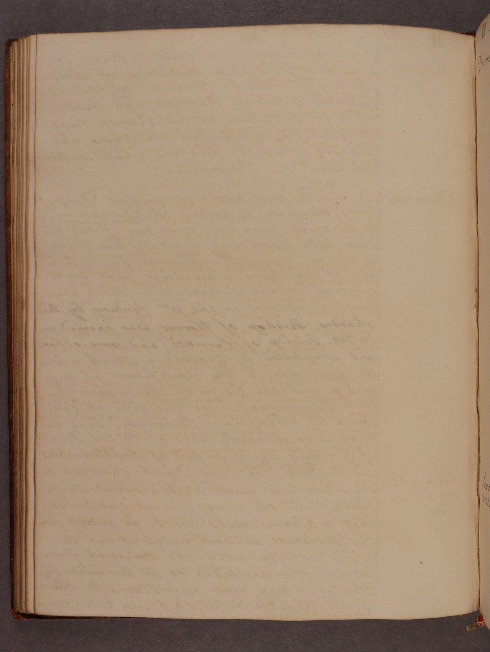 Folio 44 verso