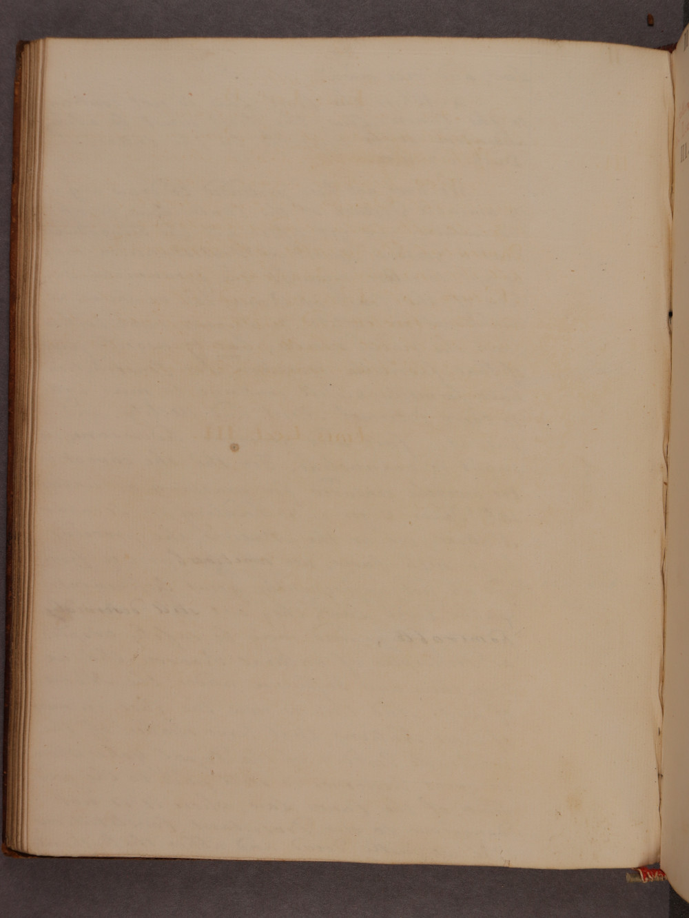 Folio 49 verso
