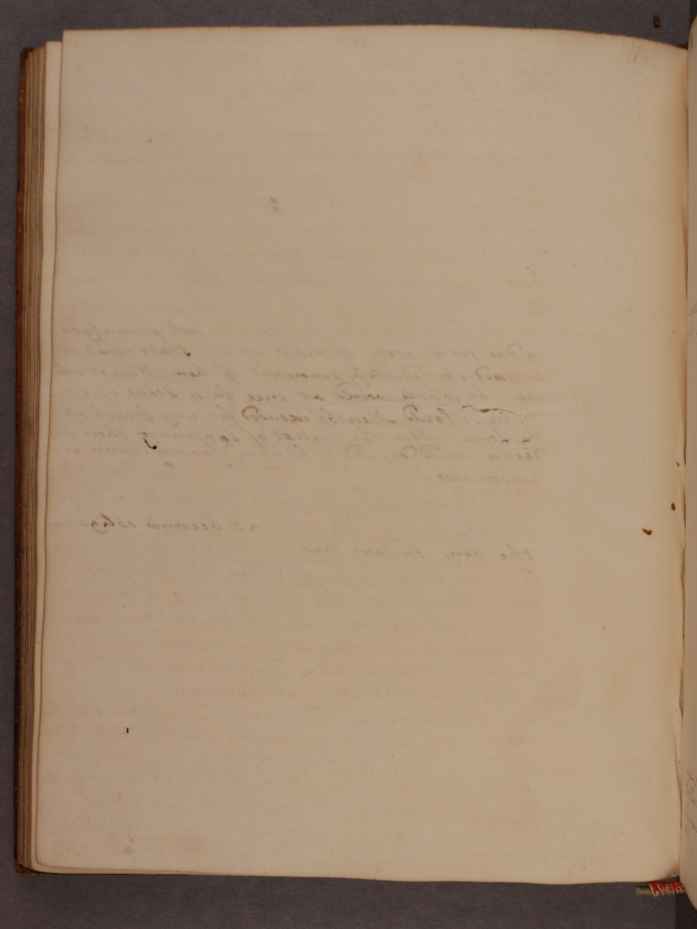 Folio 58 verso