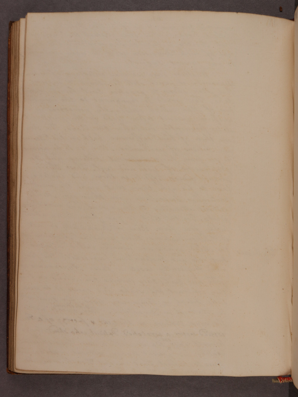 Folio 61 verso