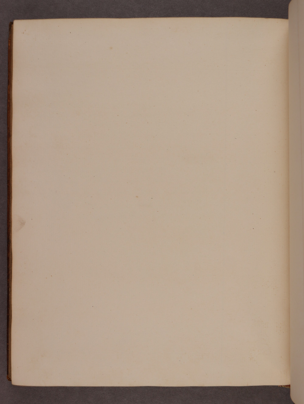 Folio 85 verso