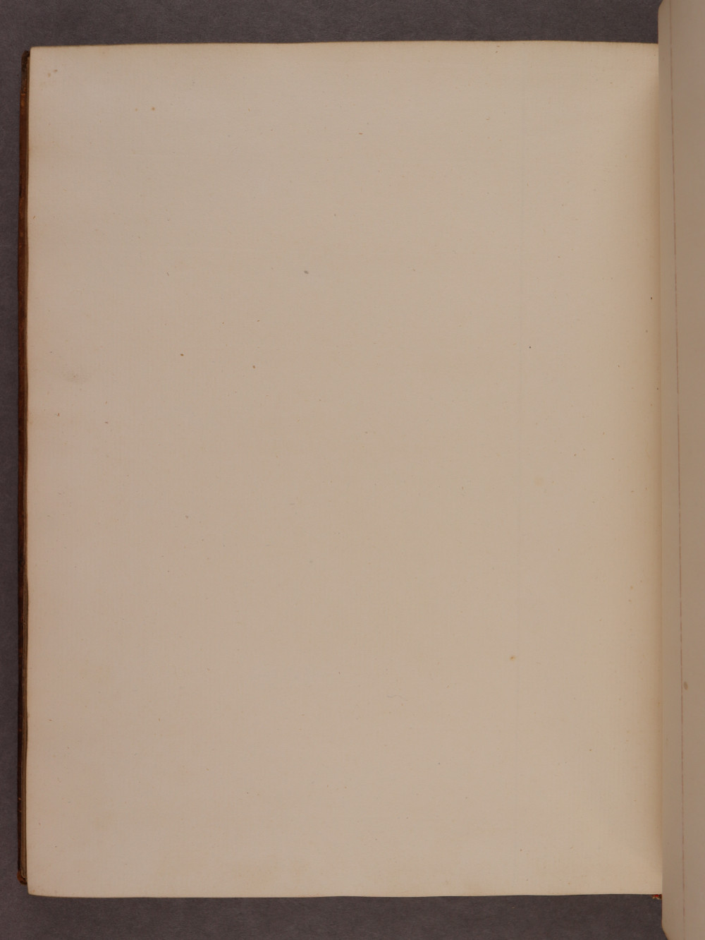 Folio 86 verso