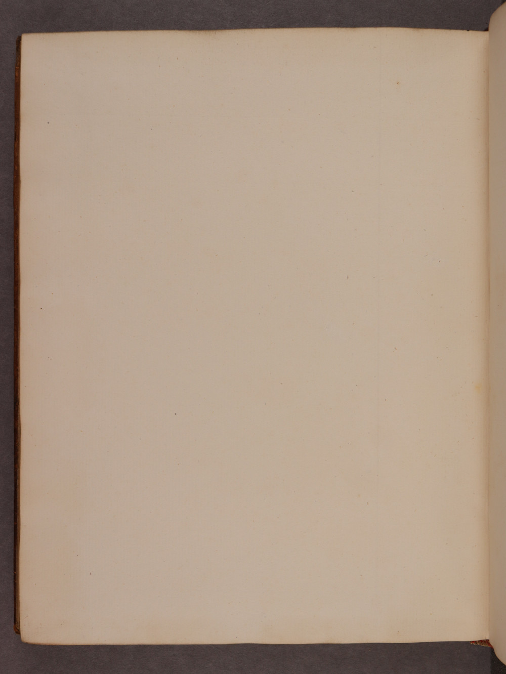Folio 88 verso